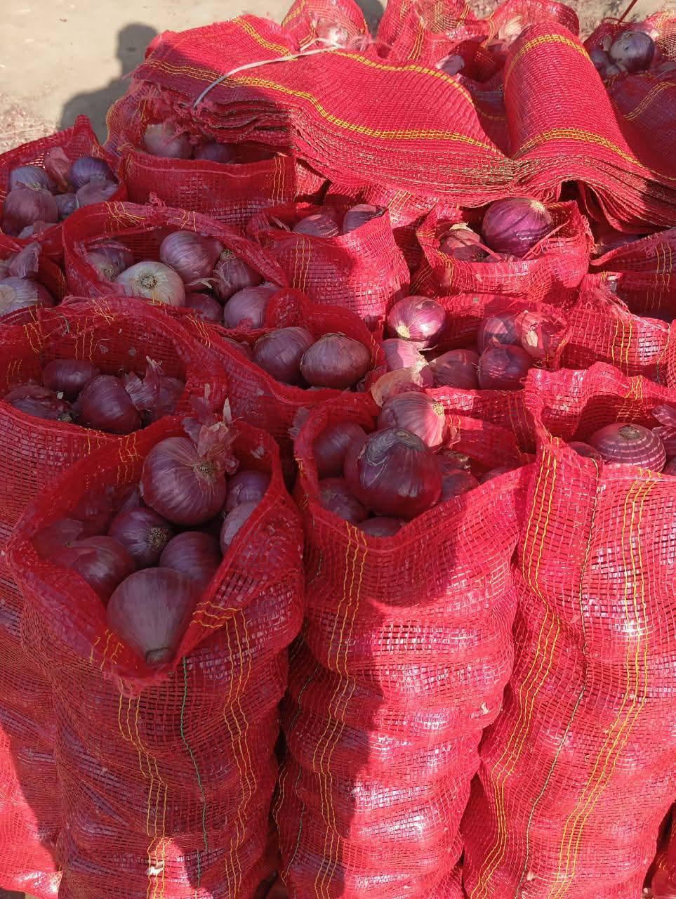 Onions